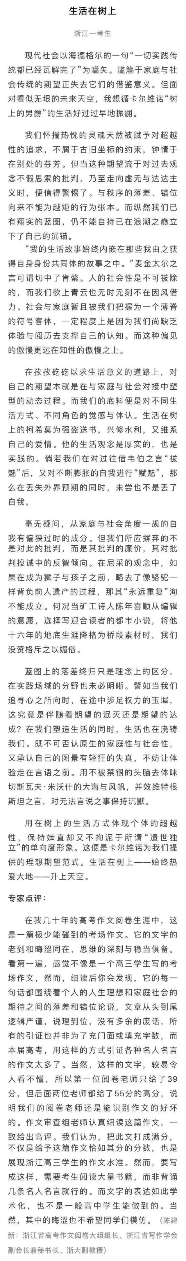 我们是否可以在读不懂满分作文的情况下批评它？