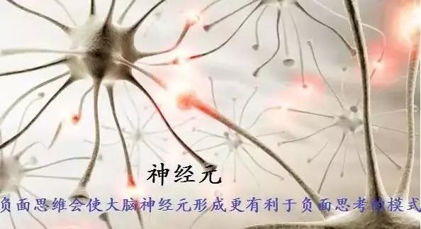 研究发现：人的善恶观念影响寿命长短