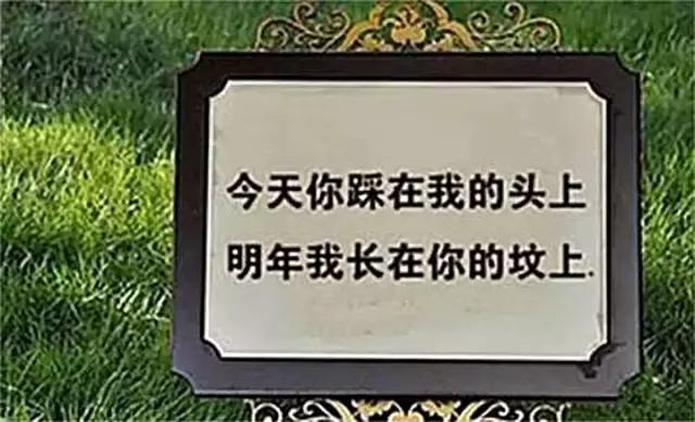 “高水平”标语，文字的魔力，笑惨我了