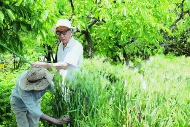 178岁最甜夫妻：婚姻相处不累的秘诀