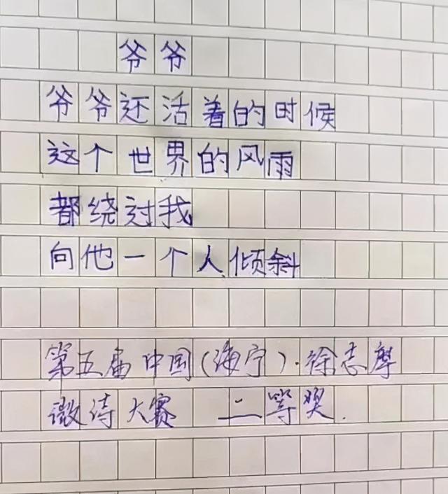 小学生作文：天才孩子，“吊打”成年人