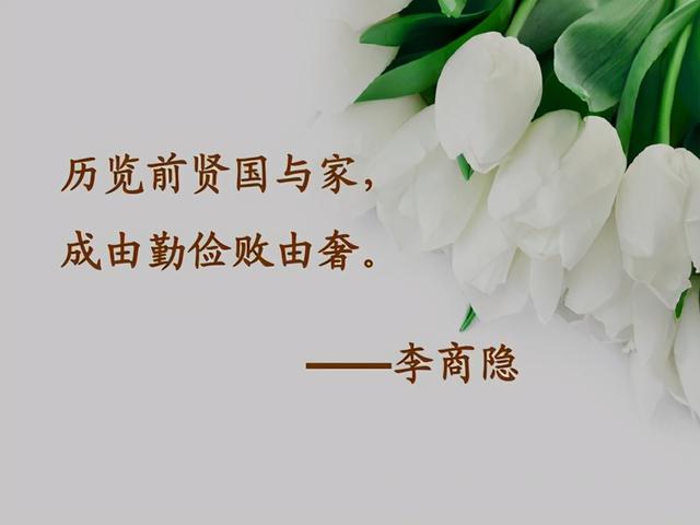 为什么说中华民族必定前途光明？看看老外翘首称赞的13个优点