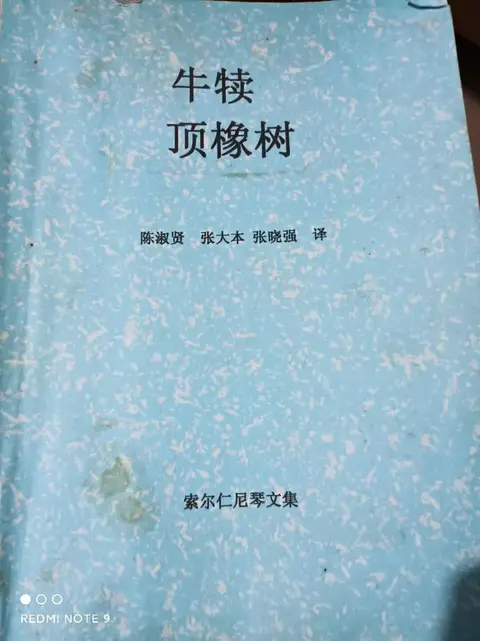 书摘｜索尔仁尼琴：言语没有死亡的地方，未来才能得救