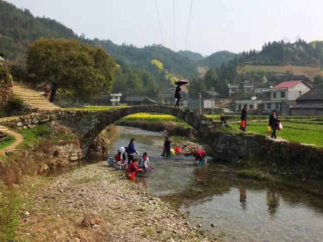 白岩松：留住乡愁，而不是想起故乡就发愁