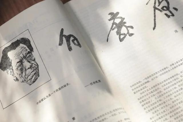 陈忠实：寻找属于自己的句子——《白鹿原》写作手记