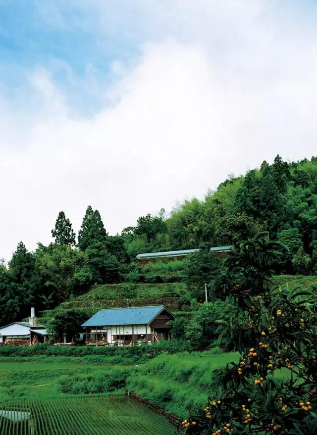 六旬夫妻归隐田园，20年没买衣服，与泥土为伴，引无数人神往