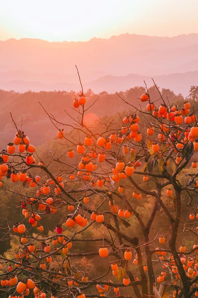 生活中不是缺少美，而是缺少发现