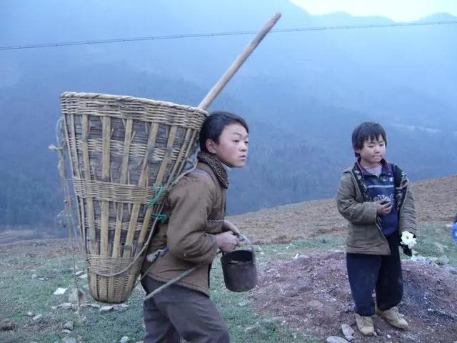 张鸣：不读书 媳妇都娶不上