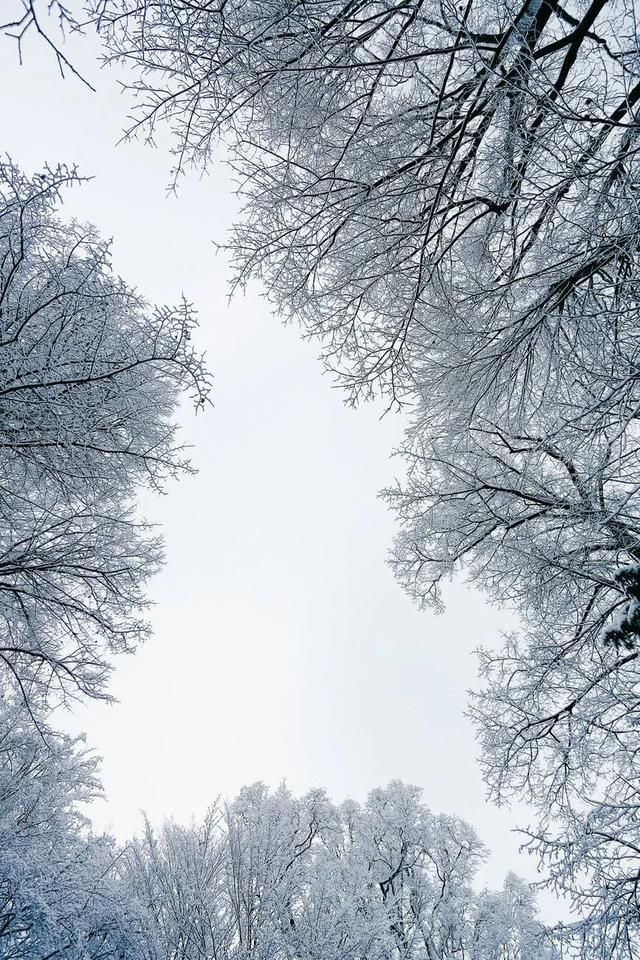 晚来天欲雪，能饮一杯无？100句关于雪的诗词，收藏了！