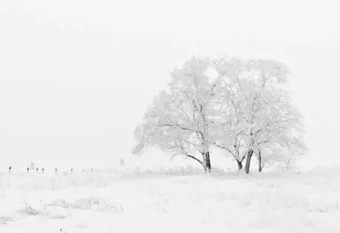 晚来天欲雪，能饮一杯无？100句关于雪的诗词，收藏了！