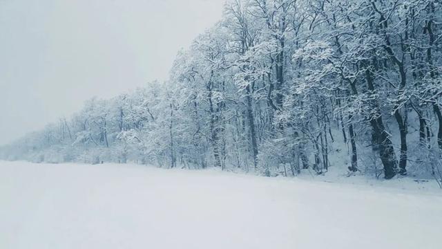 晚来天欲雪，能饮一杯无？100句关于雪的诗词，收藏了！